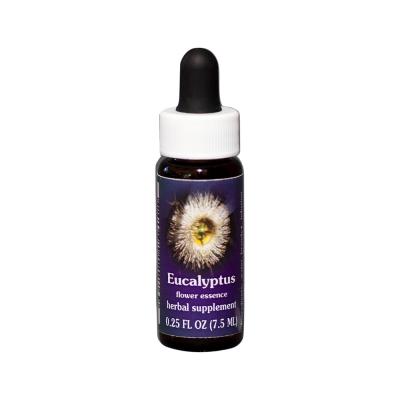 FES Organic Research Flower Essence Eucalyptus 7.5ml